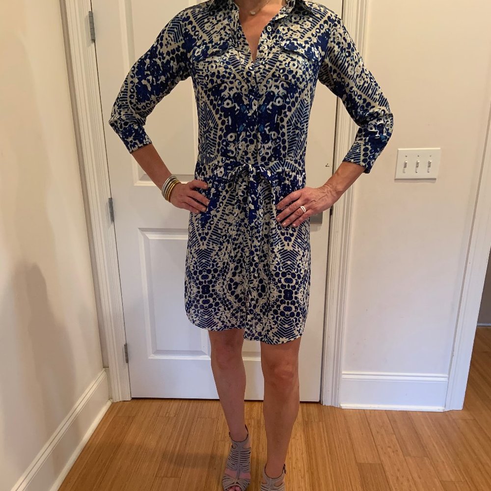 CAbi Shirtwaist dress